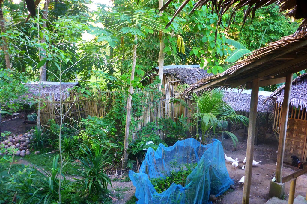 The chicken house/run before we had it demolished.