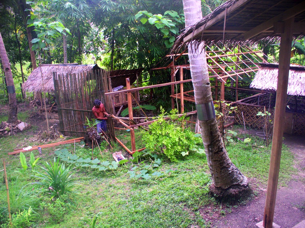 In 2011, we asked Bebe to build this chicken house/run in the garden, something that we would stop using in 2014 and demolish in 2015.
