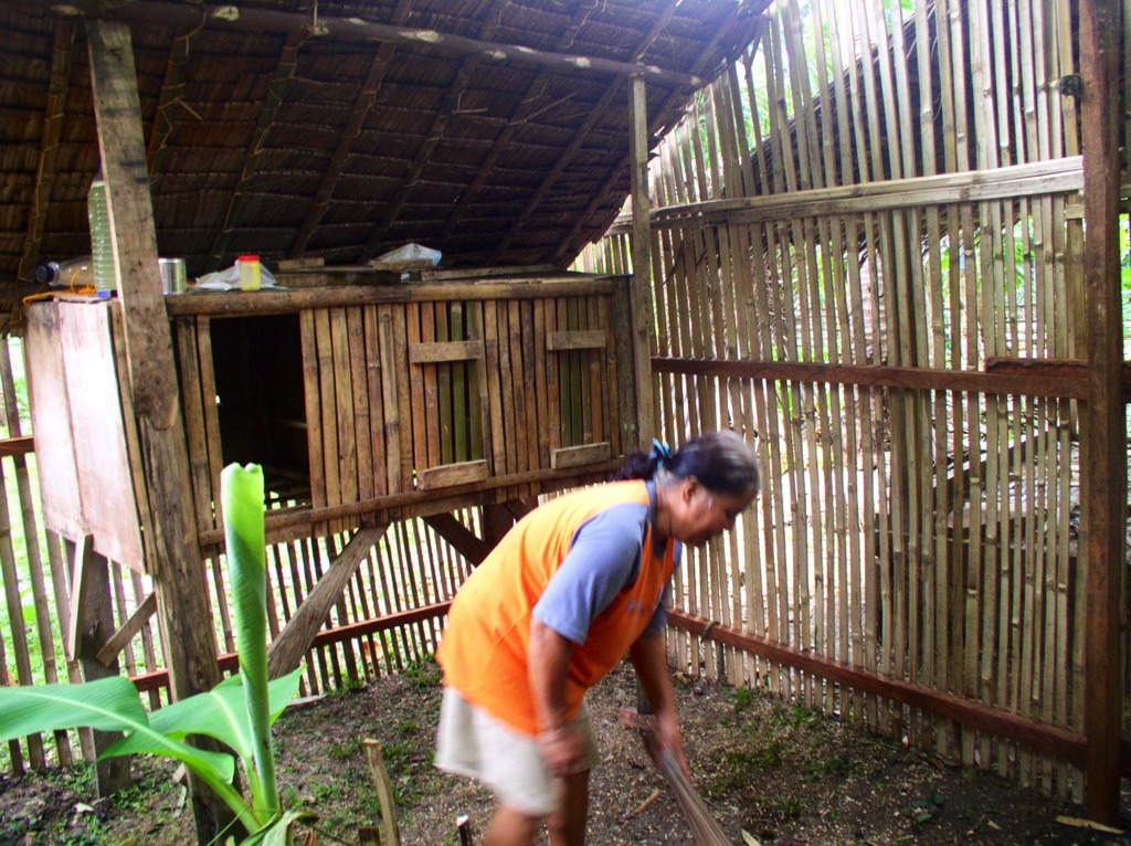 A chicken coop inside the chicken run. This place quickly became a problem, requiring lots of maintenance. Native chickens refuse to be kept under these conditions, they are fowls that must be allowed to free range.