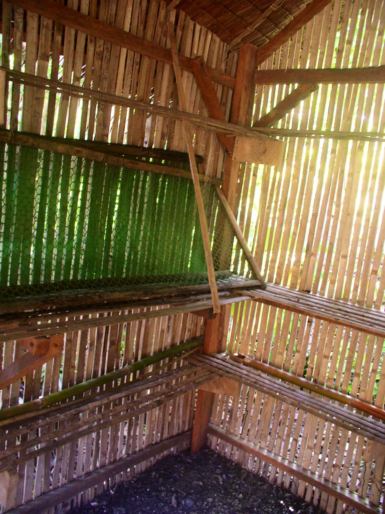 We built these shelves inside the chicken house for the hens’ nesting baskets, but they refused to use these. The dark environment was also very unhealthy and created a mites infestation.