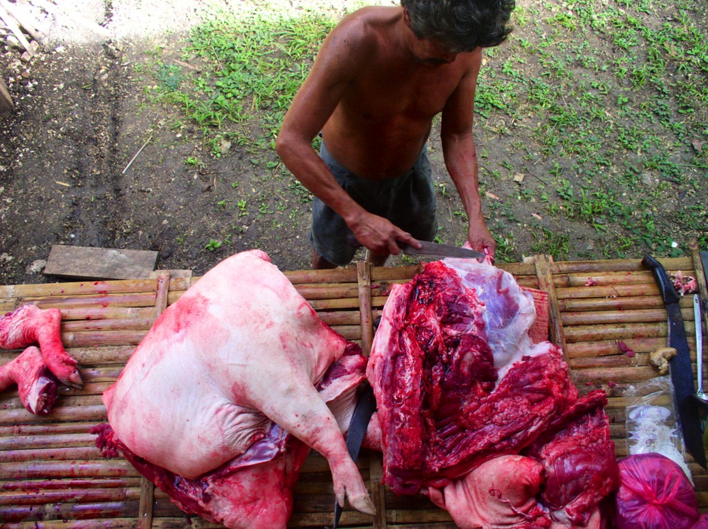 Bebe cutting up the pig into smaller pieces – it is cut in pieces suitable for cooking into popular fiesta dishes such as humba and menudo.