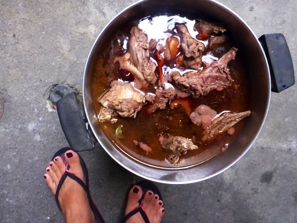 Here we are cooking duck in wine ala “Coq au Vin”.