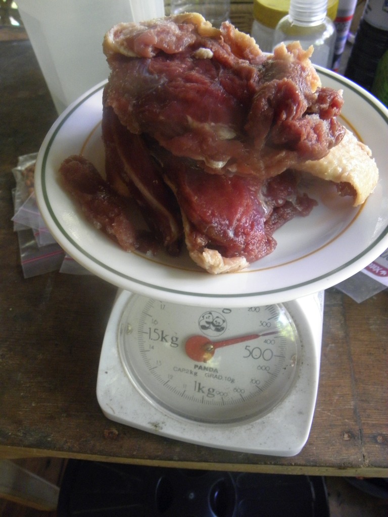 duckbaconweighing