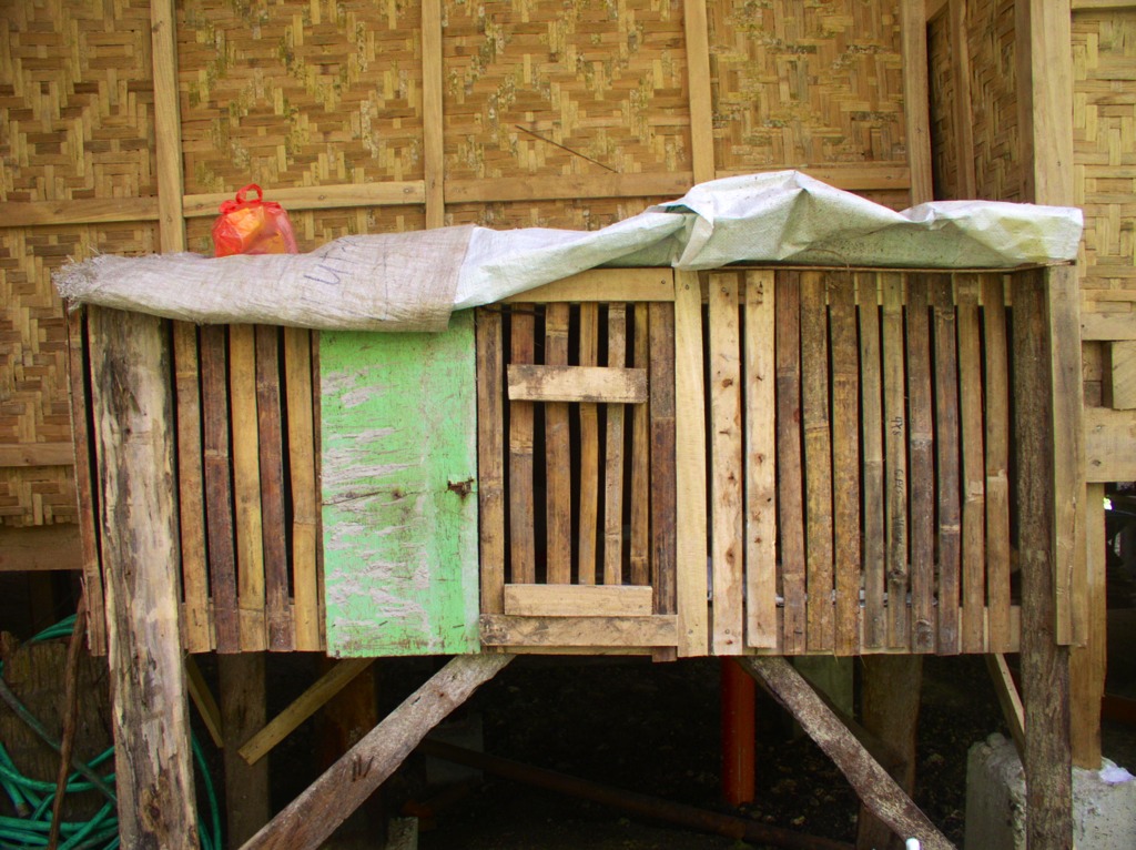 Later, we had this chicken coop built for the nine chicks, so we could keep the chicks outside.