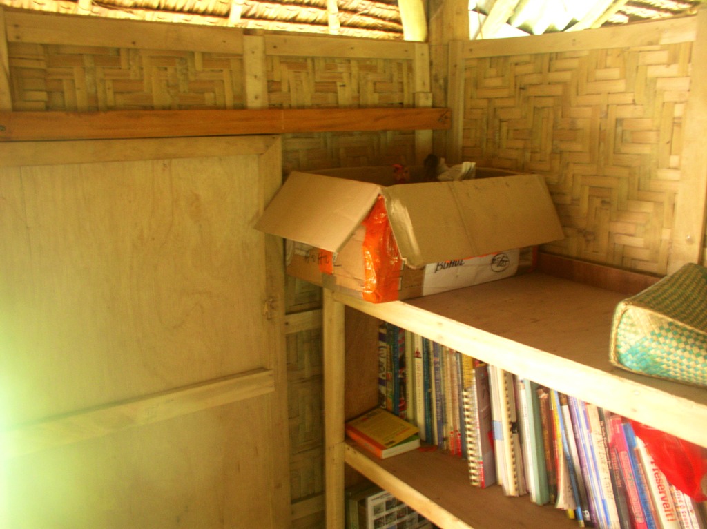 We let the hens lay their eggs inside the house, resulting in mites problem at home and hens insisting to go in the house. Here is one of the hens in a box on top of the bookshelf.
