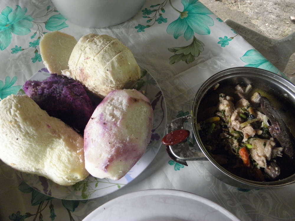 Native chicken in coconut cream served with boiled ubi (purple yam). The dark brown piece on top of the chicken stew is blood, also a favourite of mine ...