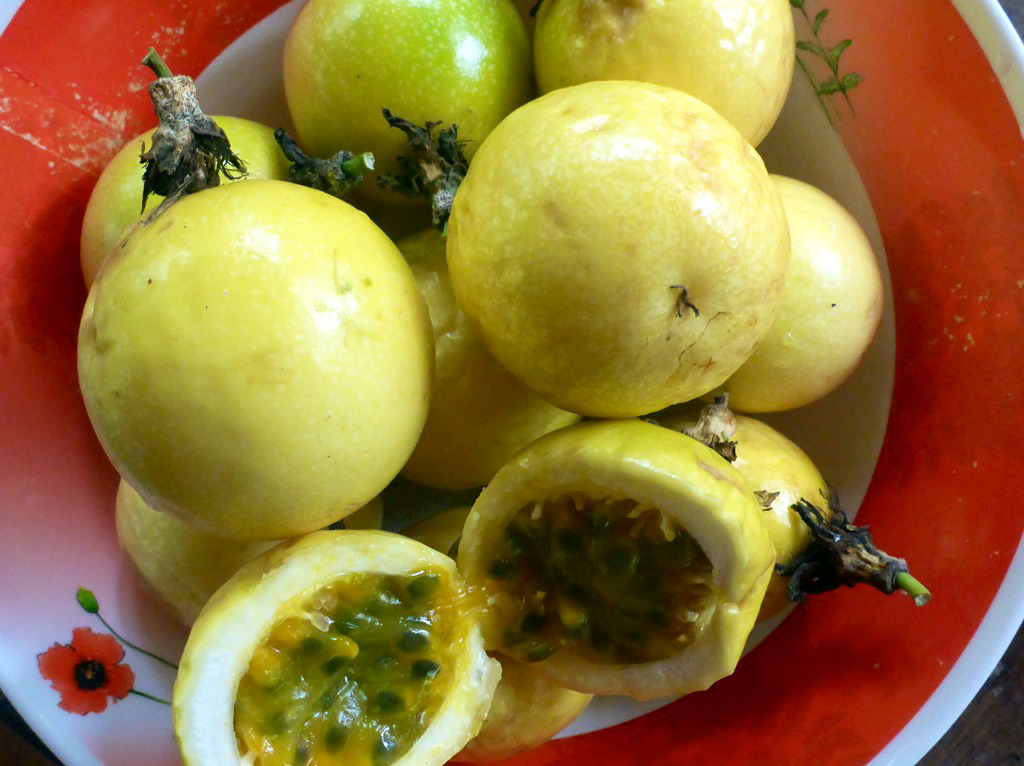 passionfruits