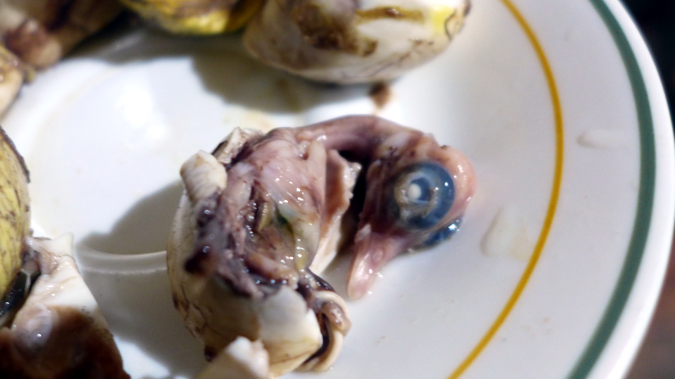 Making Balut from Muscovy Duck Eggs – Duckduckbro